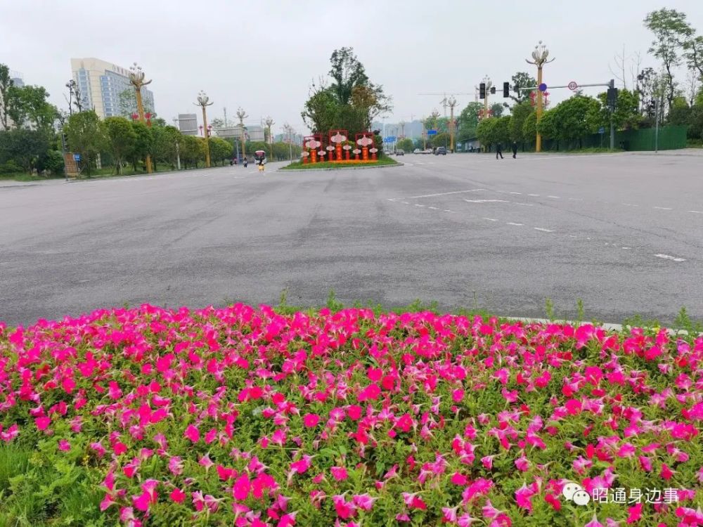 鎮(zhèn)雄南部新區(qū)最新動態(tài)，鄰里間的溫情故事展現(xiàn)溫情鄰里關(guān)系