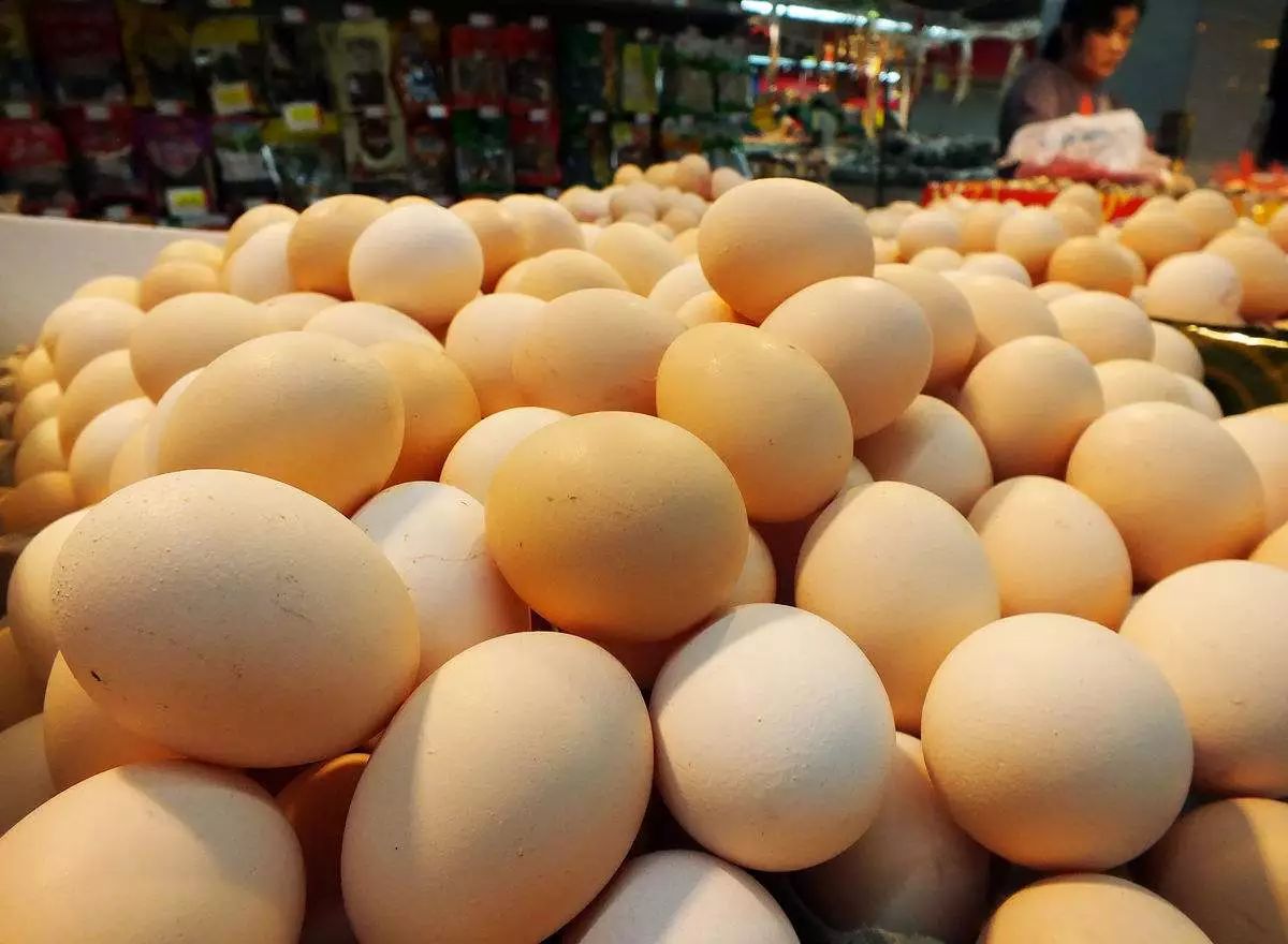 浙江今日雞蛋價格行情概覽與深度分析