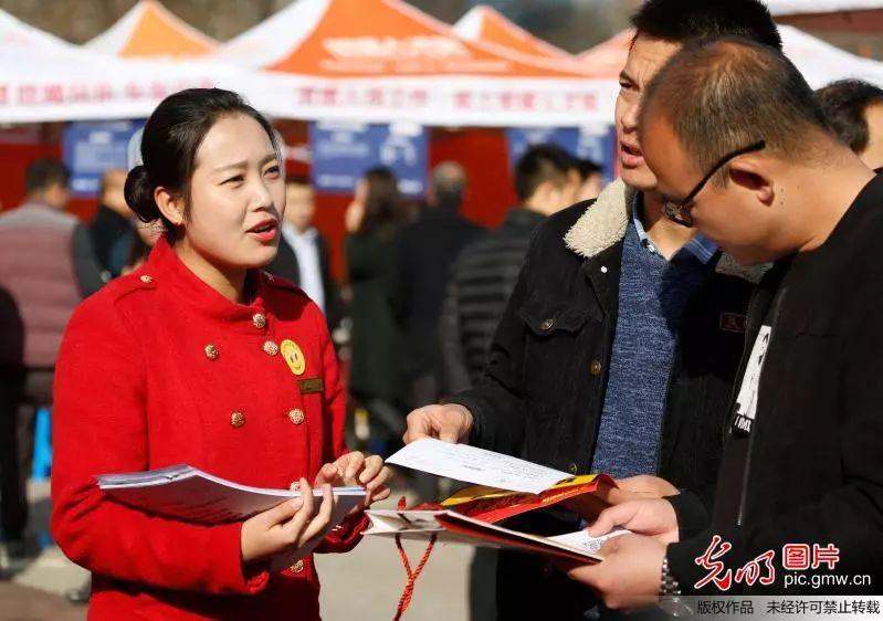眉山東坡區(qū)最新職位招聘，職場(chǎng)人的首選選擇