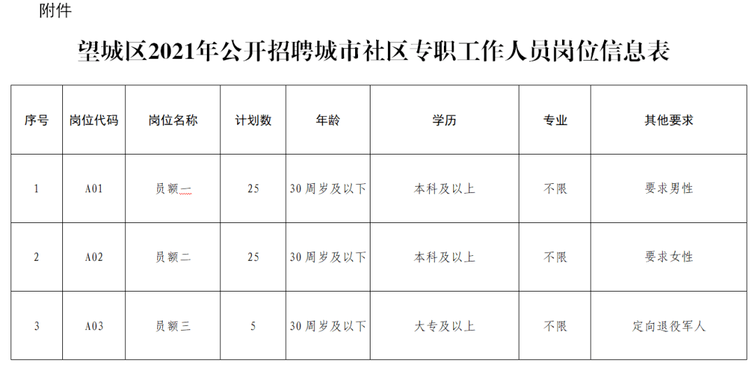 望城最新招聘動態(tài)概覽