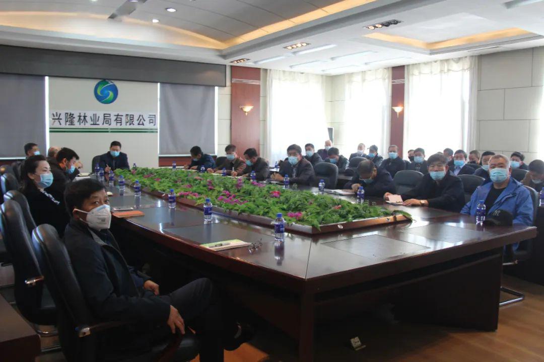 興隆林業(yè)局最新動態(tài)，擁抱自然之旅，探尋內(nèi)心寧靜之路
