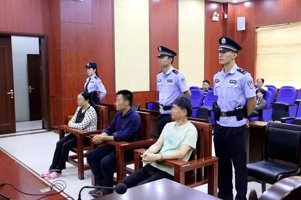 寧思專最新動態(tài)更新