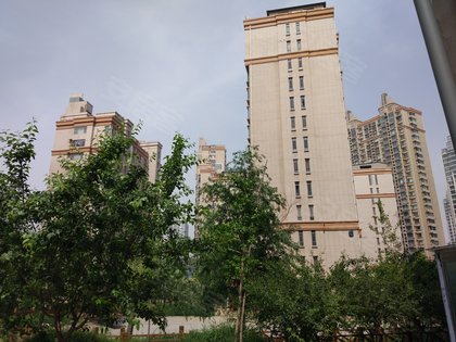 邯鄲楓丹白露最新動態(tài)，游玩指南與技能學習步驟全解析