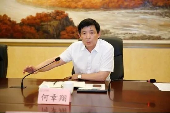 鎮(zhèn)江雷志強的最新任職，多維度視角下的深入探討
