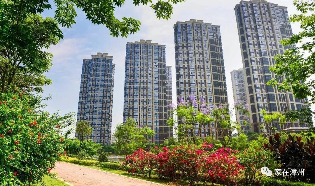 漳州國(guó)貿(mào)潤(rùn)園最新房?jī)r(jià)揭秘，家的故事與溫馨家園的呈現(xiàn)