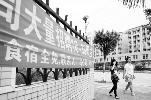 河源東源仙塘最新招聘，時代背景下的新機遇啟航