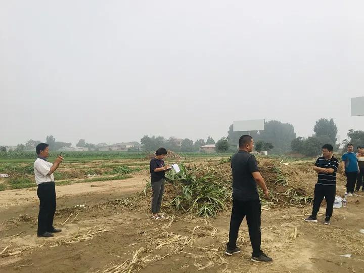 永年區(qū)最新工程項(xiàng)目，時(shí)代印記與未來(lái)展望之路